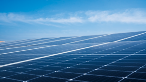 5 Clean Energy Trends That Will Transform the World in 2025