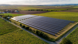 From Degraded Forest to Thriving Community Woodland